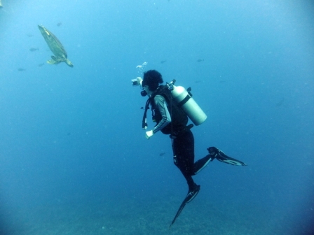 サイパン ダイビングショップ