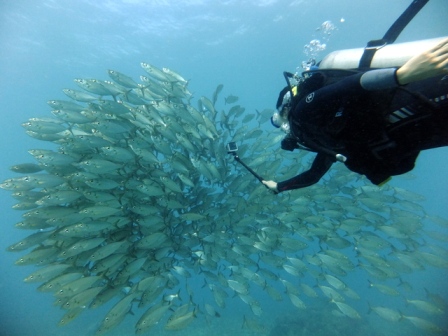 サイパン ダイビング