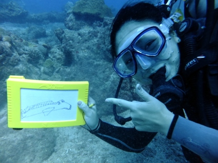 サイパン ダイビング