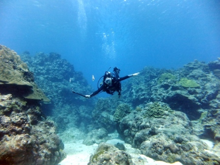 サイパン 体験ダイビング