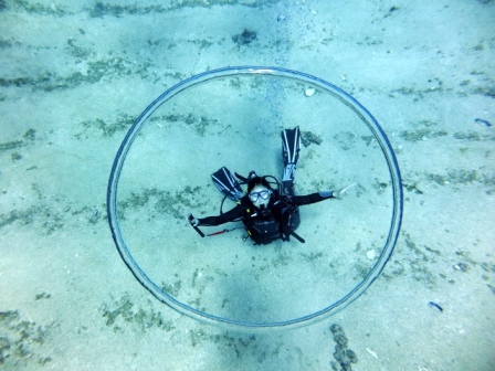 サイパン ダイビングライセンス