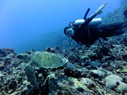 サイパン ダイビングショップ