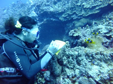 サイパン ダイビング