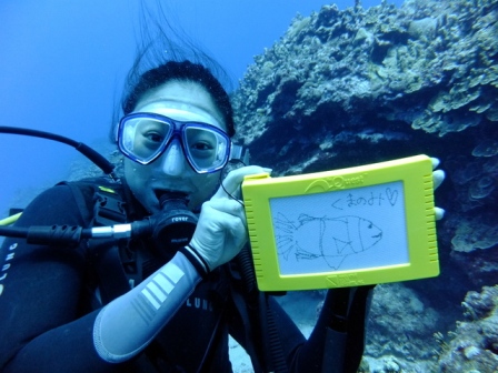 サイパン ダイビング