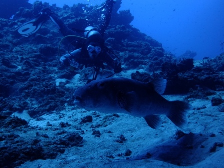 サイパン ダイビング