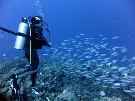 サイパン ダイビングショップ