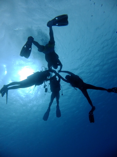 サイパン ダイビング ライセンス