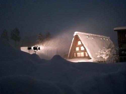 ライトアップで幻想的に照らし出された４