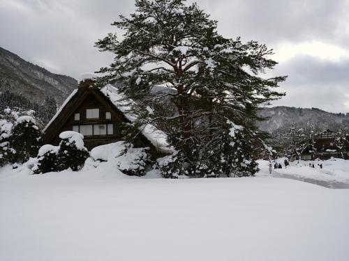 温泉旅 思い立ったらさぁ出かけよう！ ３