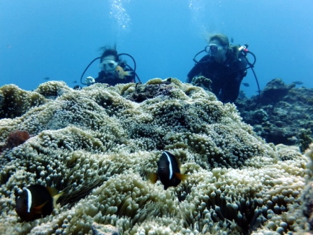 サイパン ダイビングショップ