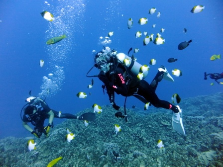 サイパン ダイビング ライセンス