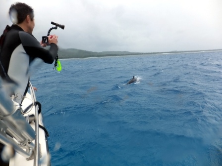 サイパン ダイビング ライセンス