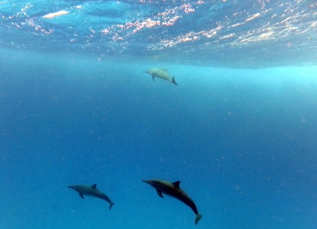 サイパン 体験ダイビング