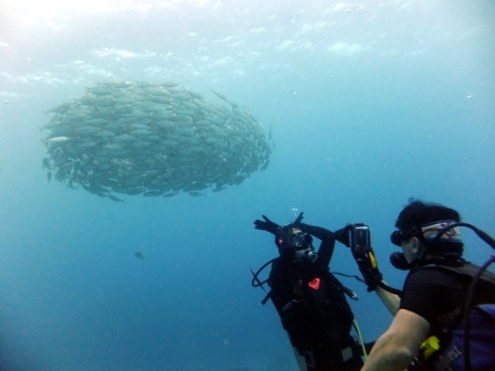 サイパン ダイビング