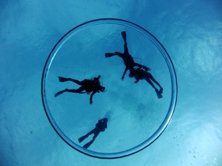 サイパン 体験ダイビング