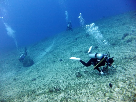 サイパン ダイビング