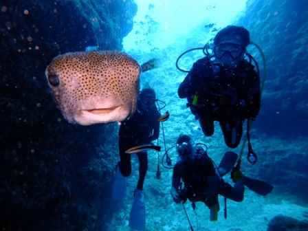 サイパン ダイビング