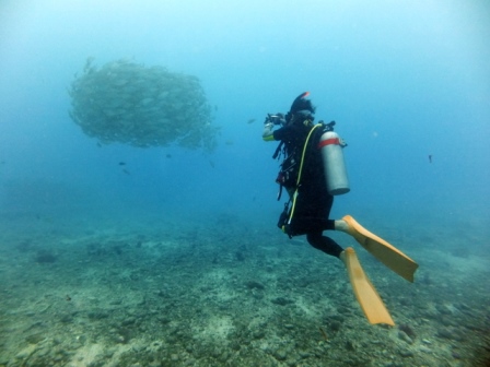 サイパン ダイビング