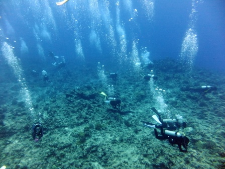 サイパン ダイビング