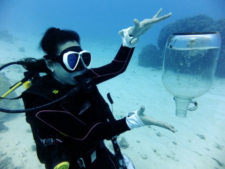 サイパン 体験ダイビング