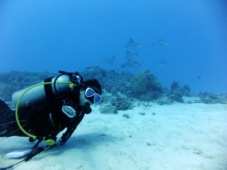 サイパン ダイビングショップ