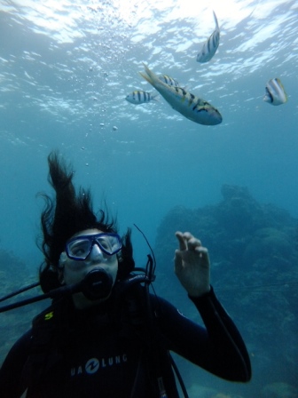 サイパン ダイビング ライセンス