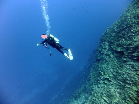 サイパン ダイビング