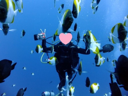 サイパン ダイビング