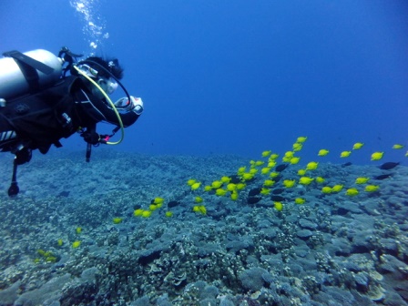 サイパン ダイビング