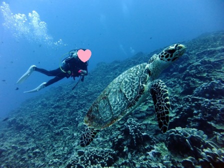 サイパン ダイビング