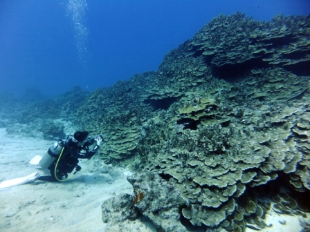 サイパン ダイビング