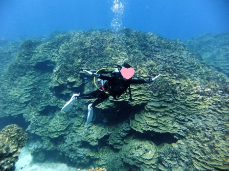 サイパン ダイビング