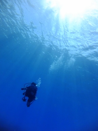 サイパン ダイビング ライセンス