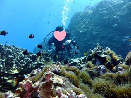 サイパン 体験ダイビング