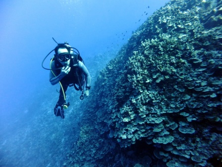 サイパン ダイビング