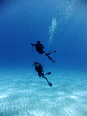 サイパン ダイビング