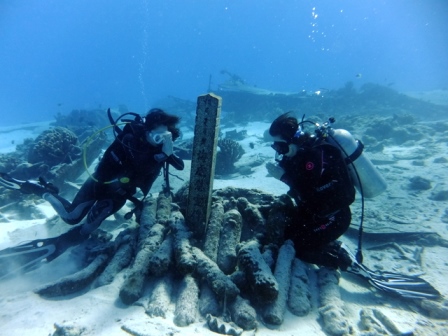 サイパン ダイビング