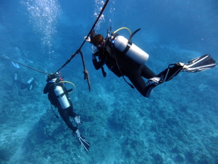 サイパン ダイビング