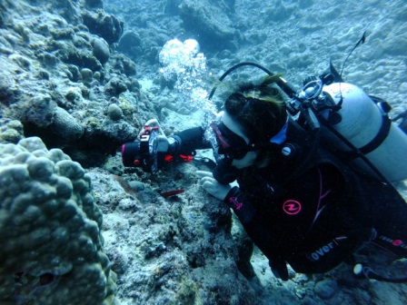 サイパン ダイビング