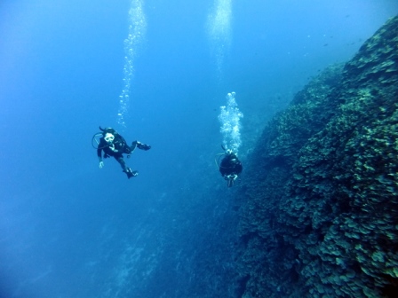 サイパン ダイビング