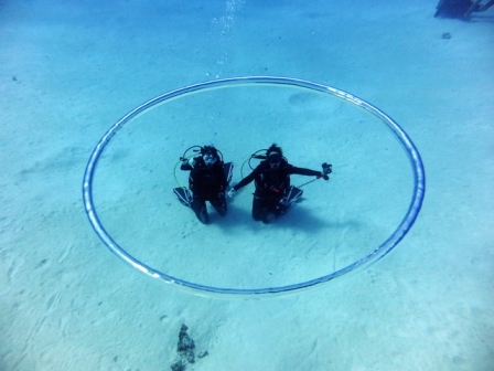 サイパン ダイビング