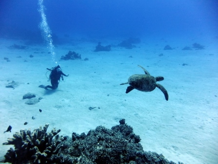 サイパン ダイビング