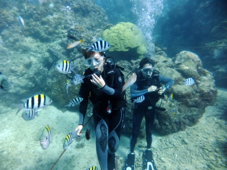 サイパン ダイビング