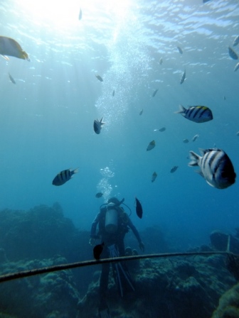 サイパン ダイビング