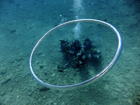 サイパン ダイビング