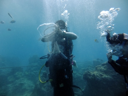 サイパン ダイビング