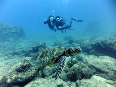 サイパン ダイビング