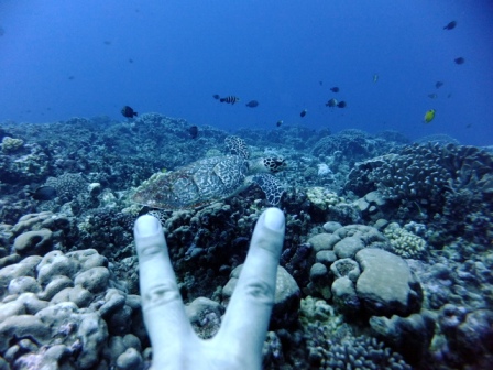 サイパン 体験ダイビング