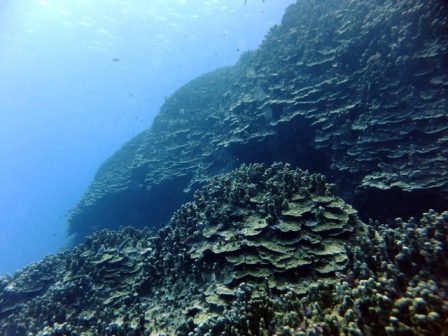 サイパン ダイビング