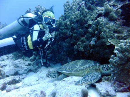 サイパン ダイビングライセンス